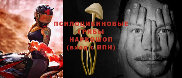 крисы Козловка