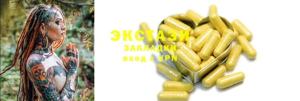крисы Козловка