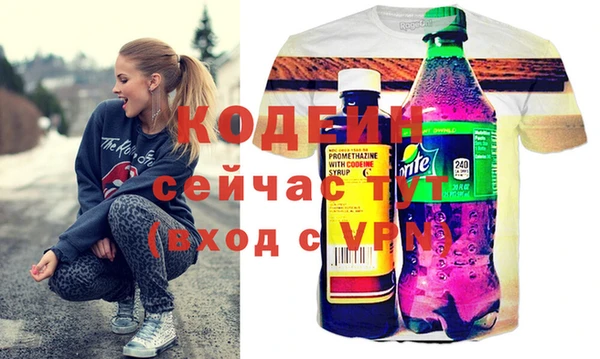 индика Новосибирск