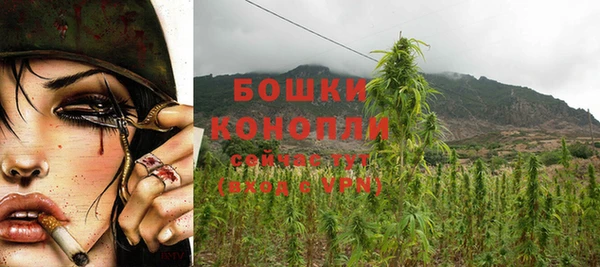 крисы Козловка