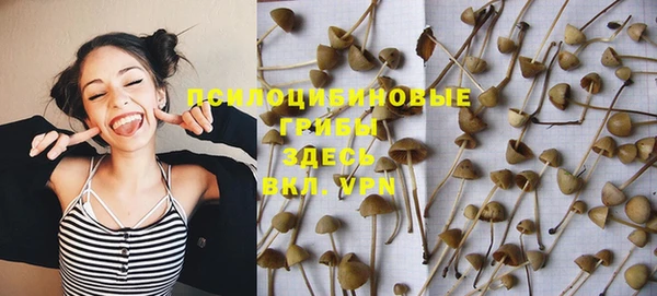 круглые Козельск