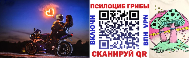 Галлюциногенные грибы Psilocybe  Елизаветинская 